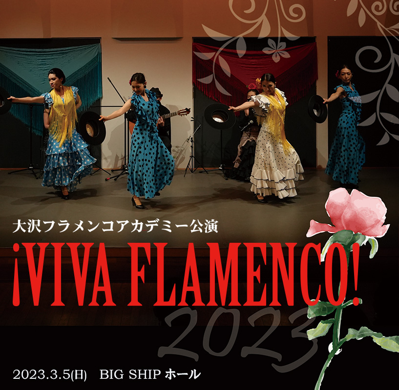 2023 VIVA FLAMENCO